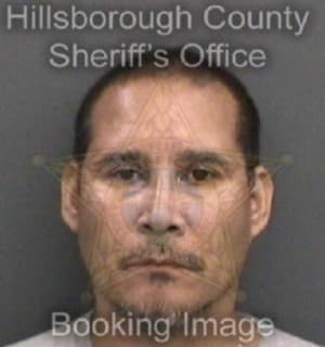 Concepcion William - Hillsborough County, Florida 