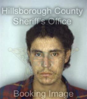 Lopezmoreno Alexsandro - Hillsborough County, Florida 