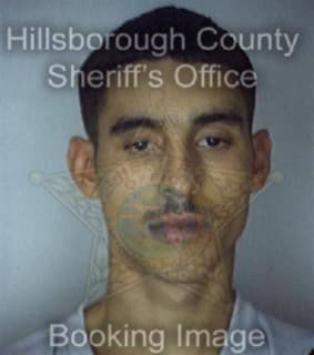 Ross Gary - Hillsborough County, Florida 