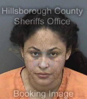 Lopez Chelsie - Hillsborough County, Florida 