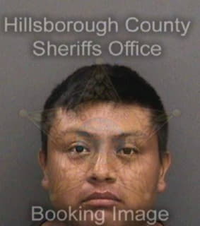 Dioniciogarcia Josue - Hillsborough County, Florida 