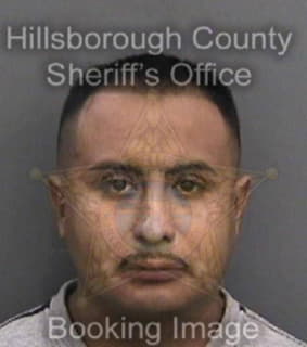 Lealramirez Luis - Hillsborough County, Florida 