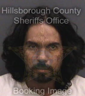 Melgar Luis - Hillsborough County, Florida 