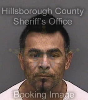 Bautista Samuel - Hillsborough County, Florida 