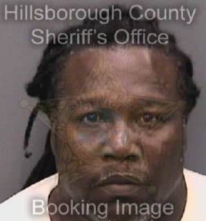 Allen Robert - Hillsborough County, Florida 