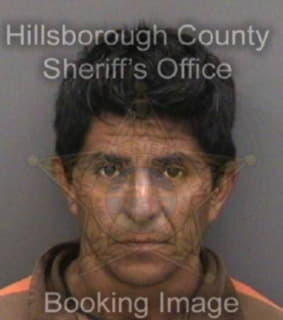 Vasquezvasquez Aroldo - Hillsborough County, Florida 