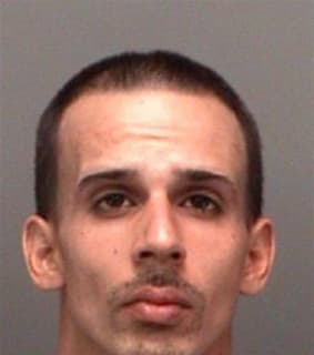 Diaz David - Pinellas County, Florida 