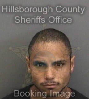 Duran Jose - Hillsborough County, Florida 