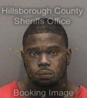 Johnson Kristopher - Hillsborough County, Florida 