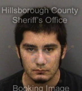 Castro Matthew - Hillsborough County, Florida 