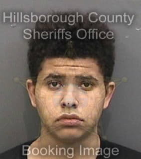 Kuhlman Michael - Hillsborough County, Florida 