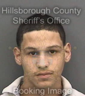 Rodriguez Yasmanny - Hillsborough County, Florida 