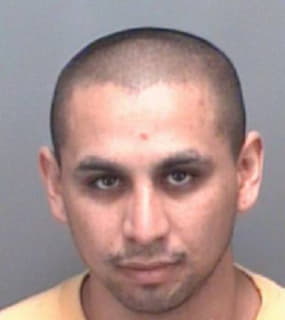 Hernandez Cristobal - Pinellas County, Florida 