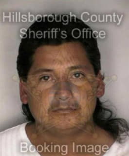 Hernandez Guadelupe - Hillsborough County, Florida 