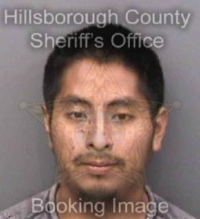 Lopezhernandez Ramon - Hillsborough County, Florida 