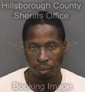 Bellamy Tabbiean - Hillsborough County, Florida 