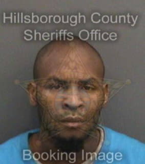 Lee Damion - Hillsborough County, Florida 