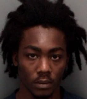 Mckinnie Darryl - Pinellas County, Florida 