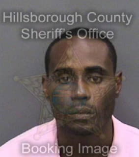 Patterson Eric - Hillsborough County, Florida 