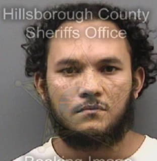 Villatoro Jorge - Hillsborough County, Florida 