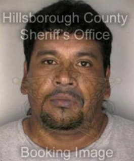 Casanova Humberto - Hillsborough County, Florida 