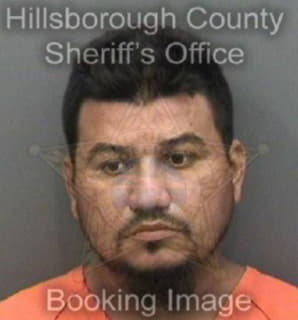 Romerohernandez Jose - Hillsborough County, Florida 