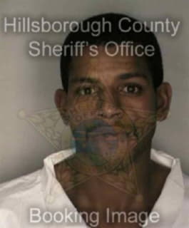 Vega Jose - Hillsborough County, Florida 