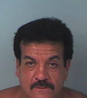 Rodriguez Luis - Hernando County, Florida 