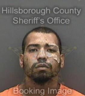 Rivera Michael - Hillsborough County, Florida 