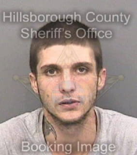 Mcgee William - Hillsborough County, Florida 