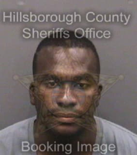 Douglas Craig - Hillsborough County, Florida 