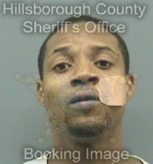 Mcglothin Demario - Hillsborough County, Florida 