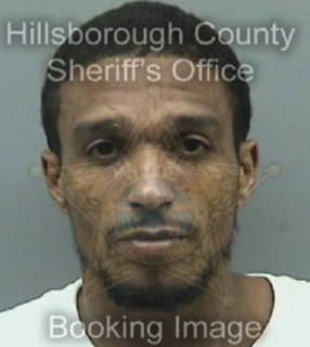 Diaz Ismael - Hillsborough County, Florida 