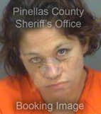Stahl Kelly - Pinellas County, Florida 