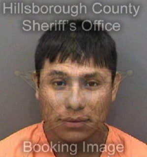 Lopezgomez Marcelino - Hillsborough County, Florida 