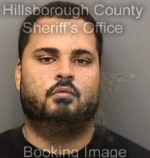 Negron Victor - Hillsborough County, Florida 