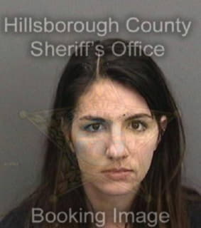 Lewis Daisy - Hillsborough County, Florida 