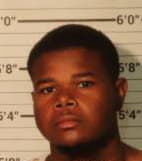 Haynes Davante - Shelby County, Tennessee 