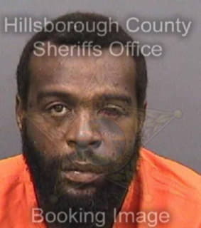 Mitchell Ernest - Hillsborough County, Florida 