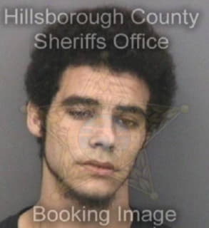 Ponce Miguel - Hillsborough County, Florida 