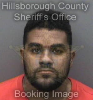 Alali Naser - Hillsborough County, Florida 