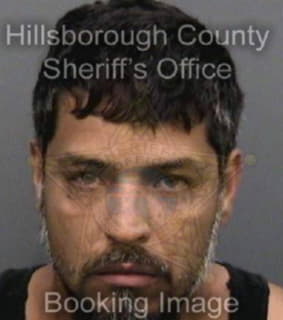 Matos Daniel - Hillsborough County, Florida 