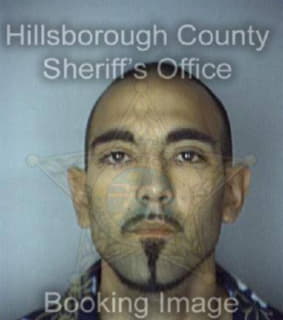 Hernandez Joseph - Hillsborough County, Florida 