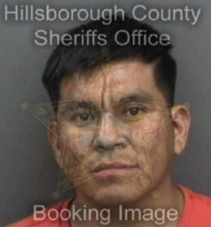 Hernandez Sergio - Hillsborough County, Florida 