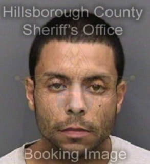 Lopez Brian - Hillsborough County, Florida 