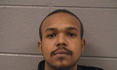 Robinson Javon - Cook County, Illinois 