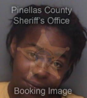 Mitchell Pereesha - Pinellas County, Florida 