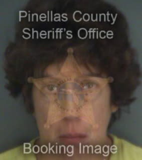 Thibeault Tracey - Pinellas County, Florida 