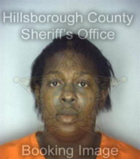 Ford Bridgette - Hillsborough County, Florida 