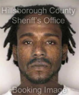 Davis Christopher - Hillsborough County, Florida 